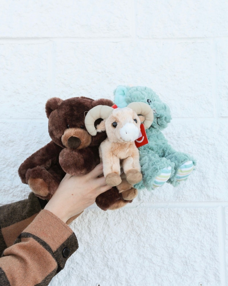 Stuffed Animals